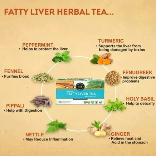 TEACURRY Fatty Liver Tea 100G Free Shipping World Wide
