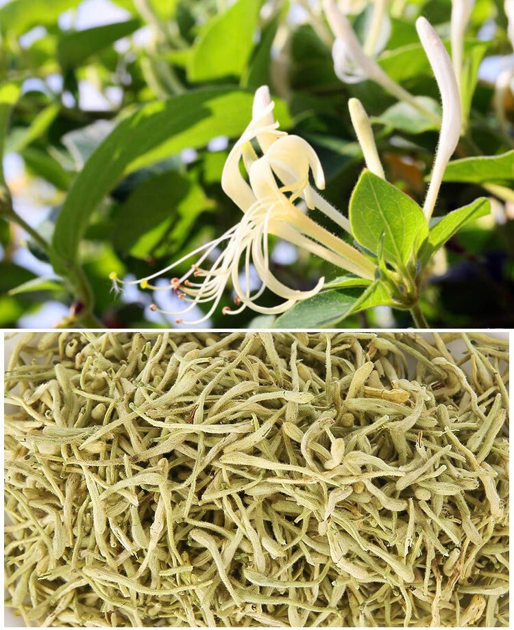 Honeysuckle Flower Tea Dried Herbal Tea Natural Blooming Floral Loose Leaf