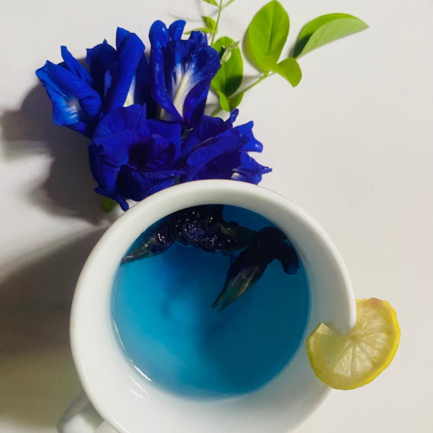 Sri Lankan Blue Butterfly Pea Flower Seeds 100% Organic Nil Katarolu (50g)