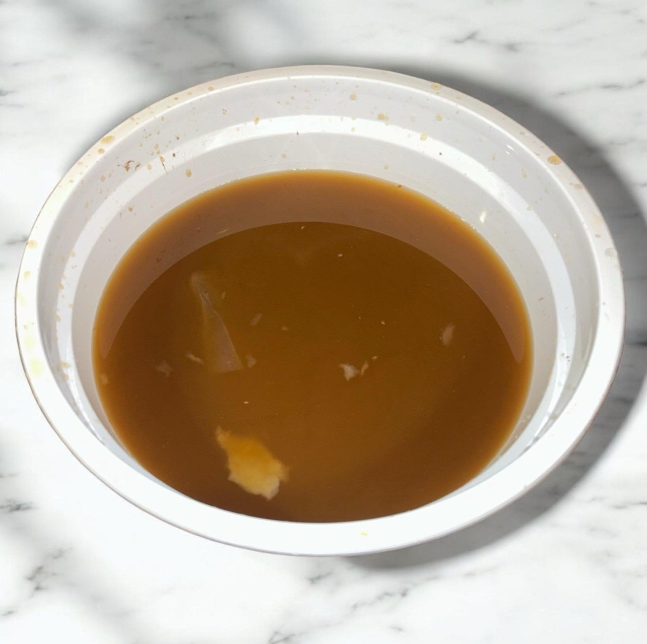 Kombucha SCOBY Starter Culture | Live Probiotic Fermentation | Tea | Kefier