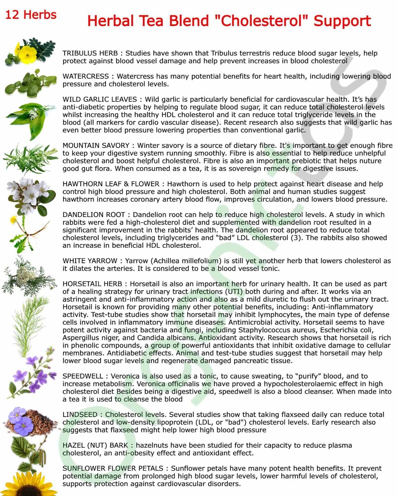 Herbal Tea for High and Bad Cholesterol – 12 organic herbs herbal diet support