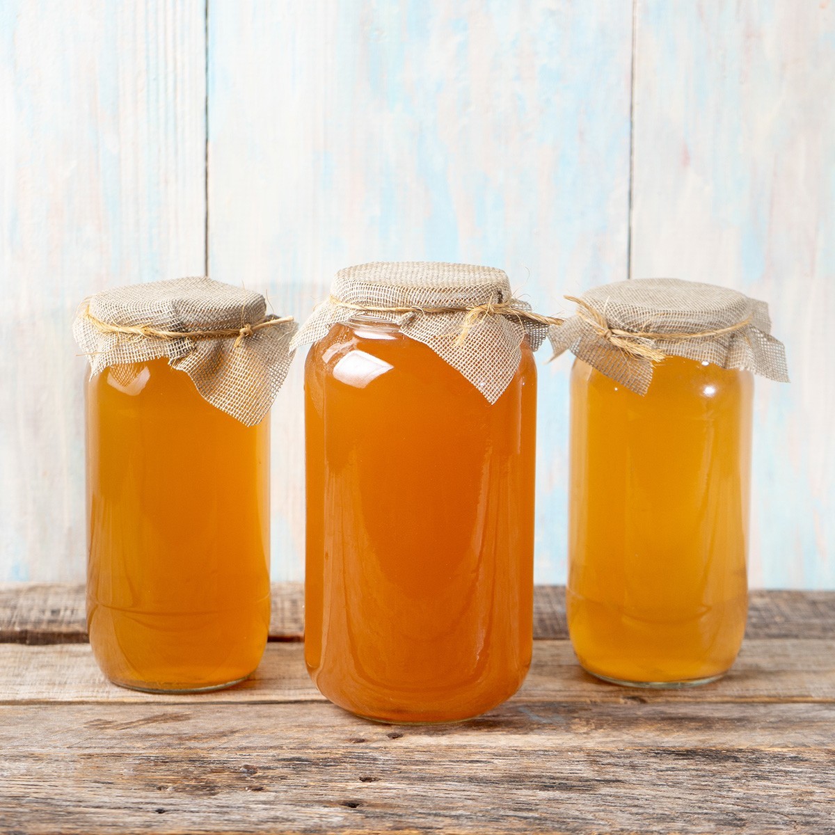 Scoby Kombucha FBA_LEPAZC5747 1 X Organic Kombucha Scoby-Live Culture
