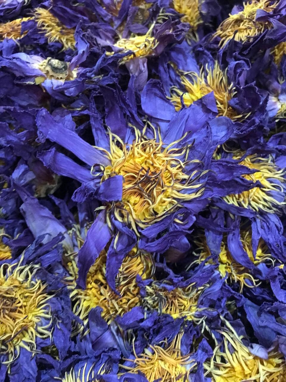Ceylon Dried Blue Lotus 1000g Nymphaea Caerulea 100% Hand Pick Flowers Herbs Tea