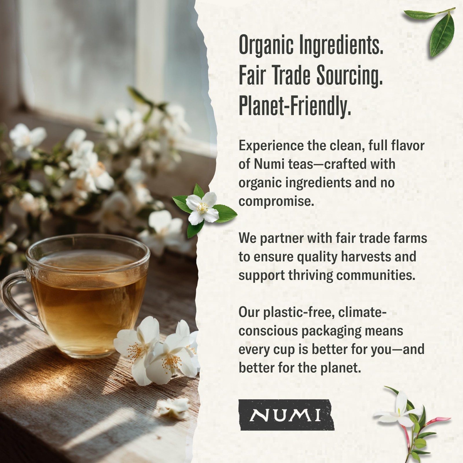 Numi Organic Green Tea with Jasmine, 54 Green Tea Bags Scented with Real Jasm…