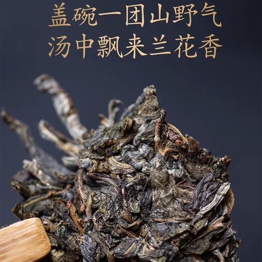 Pu-erh 普洱,2022,盛嘉源 SHENG JIA YUAN, 綠水塘 green pond ,357g,Raw