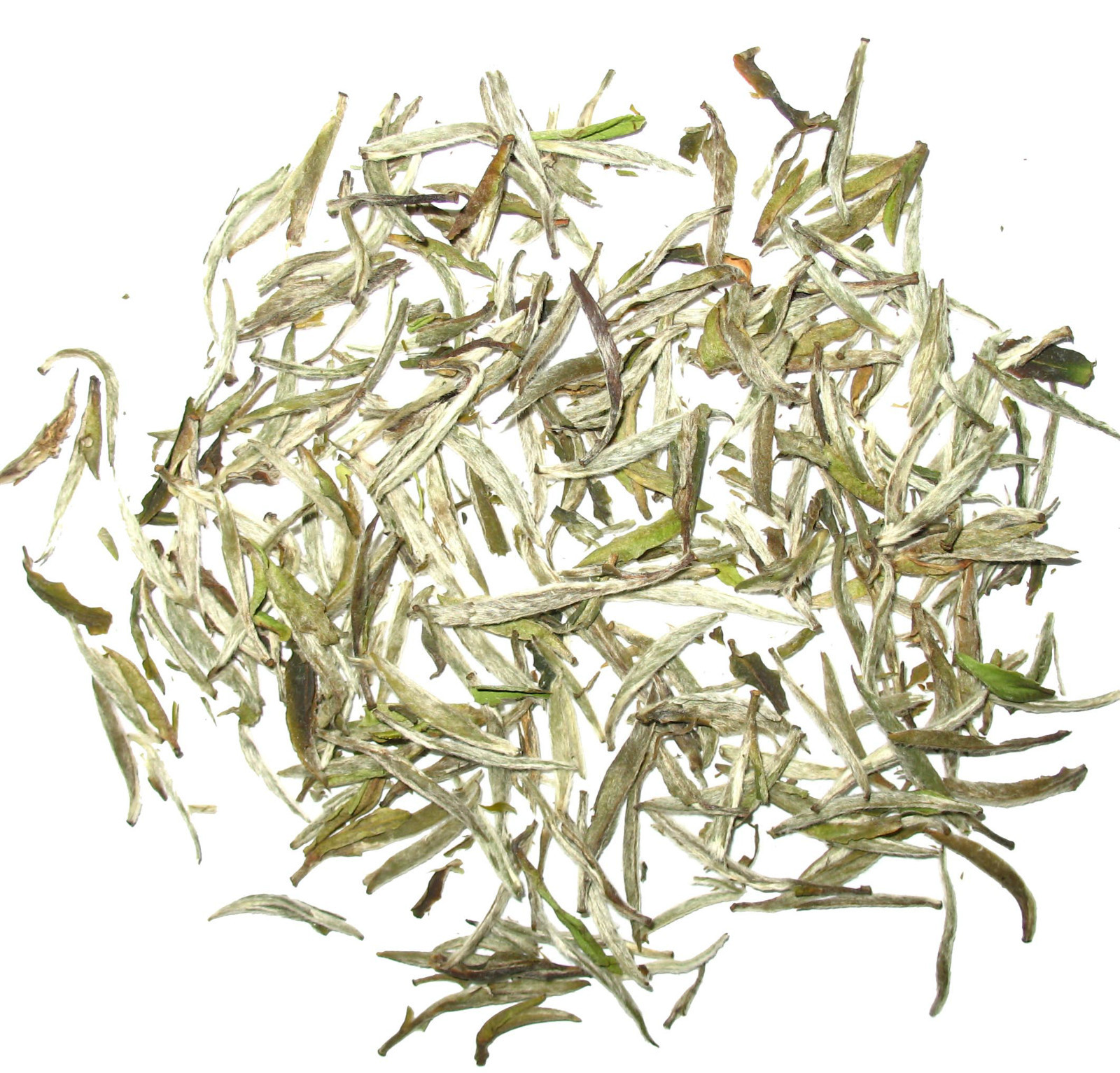 Organic Bai Hao YIn zhen Silver needle white tea Premium Loose leave Tea 1/2 LB