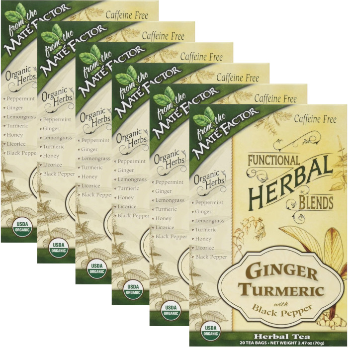 Herbal Blends Herbal Tea Ginger Turmeric 20 pckts Each (Pack of 6)