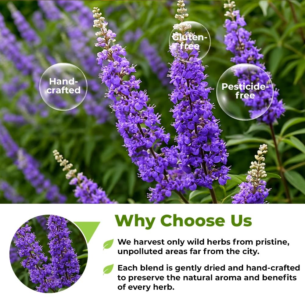 50 Bags Chaste Tree Berry Сhasteberry Tea Vitex Tea Herb (Vitex Agnus-Castus)…