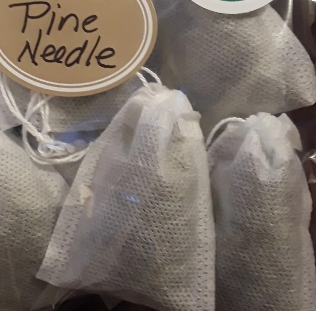 Lot: 30/31 PC Organic Eastern White Pine Needle Tea Bags Fresh Harvest Pack Bag