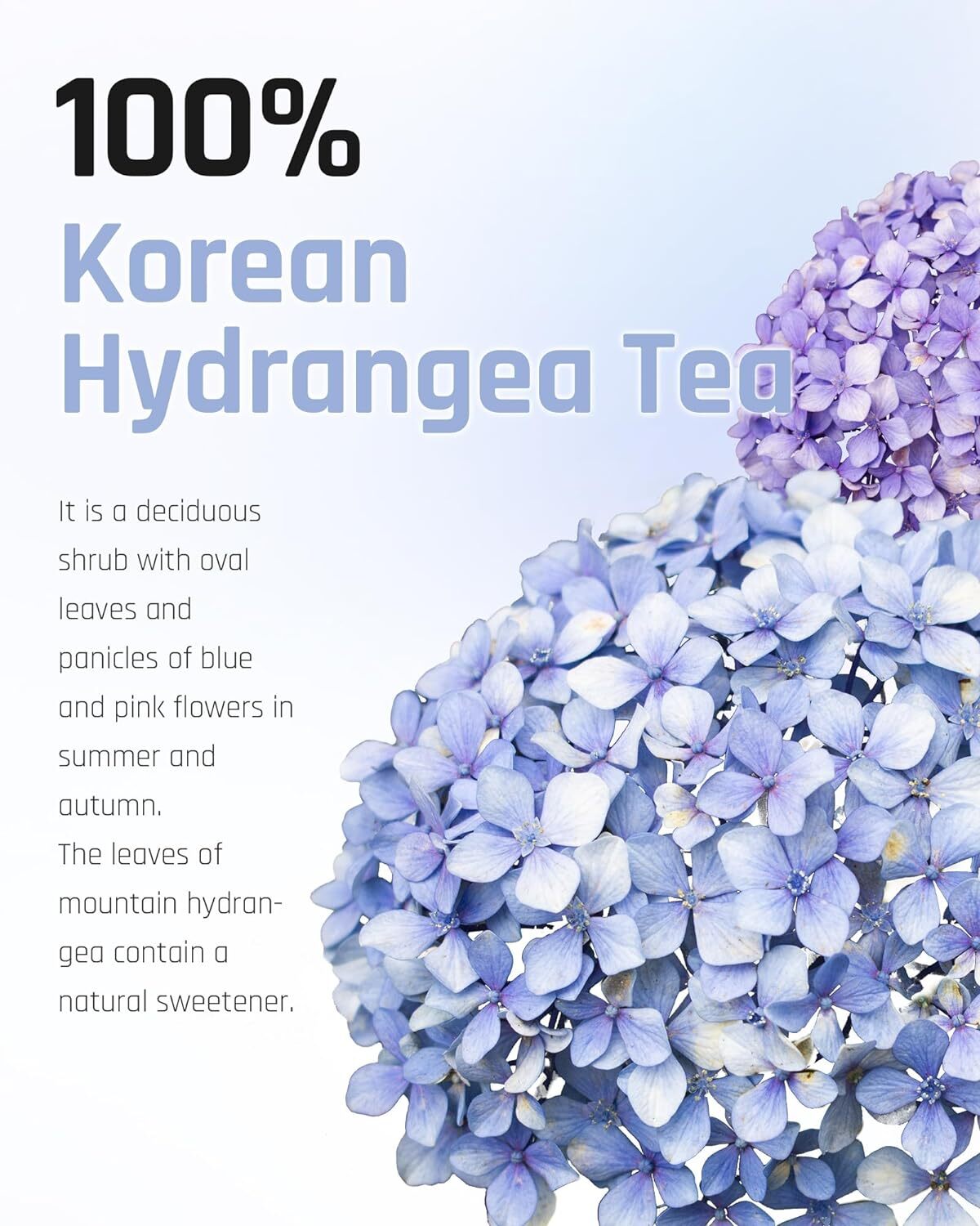 Hydrangea Sweet Dew Tea 40 Tea Bags Pack Herbal Infusion 1.2G Each