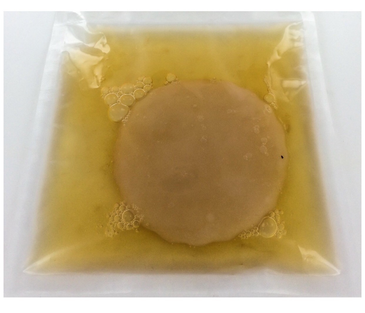 2 Organic Raw Probiotics Kombucha Scoby Live Culture Mushroom Starter Kit Detox
