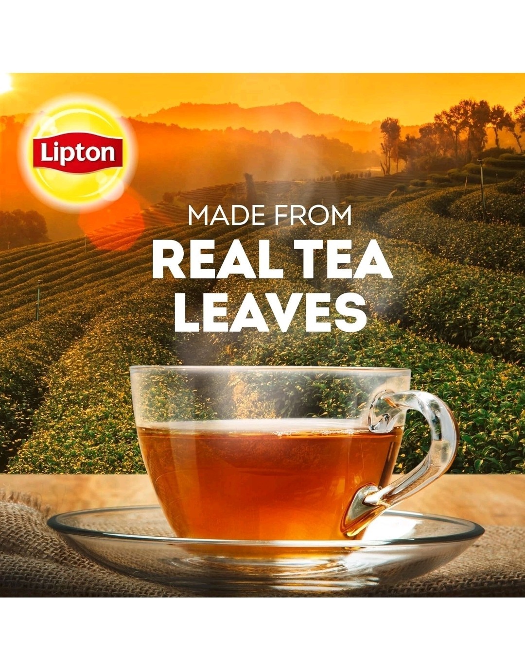 Lipton Black Tea Bags, Iced or Hot Tea, Can Help Support a Healthy Heart 100Pack