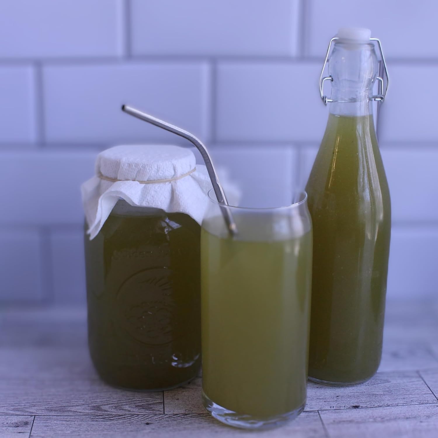 Matcha Kombucha Scoby Starter Kit with Starter Tea to Ferment Culture Healthy