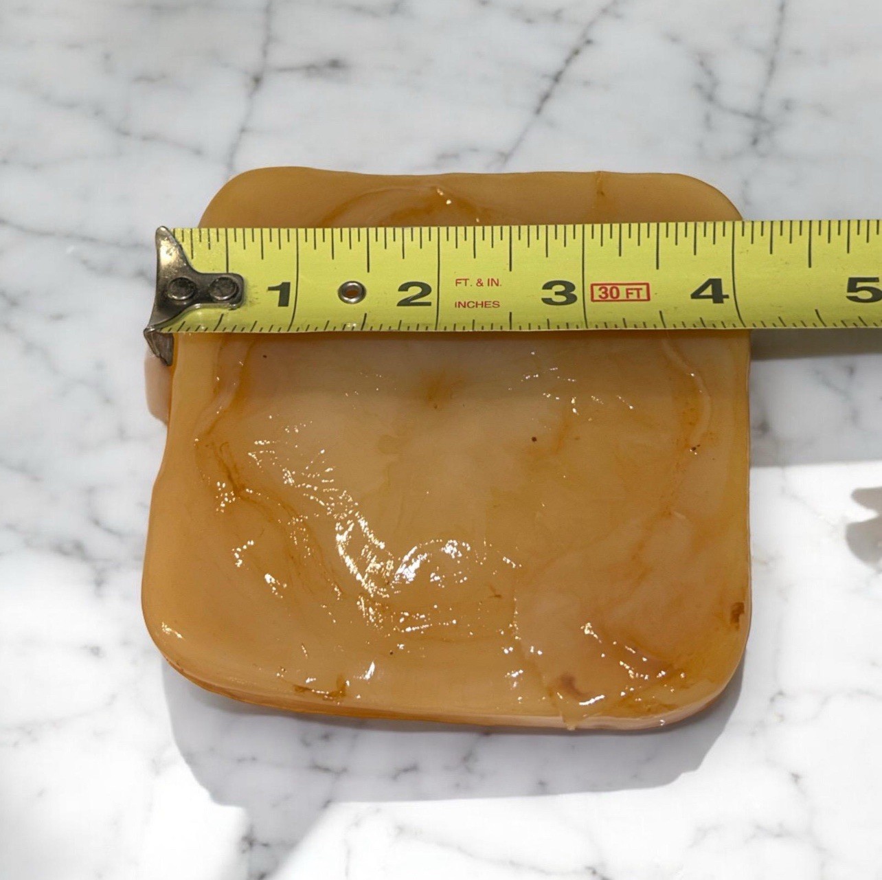 Kombucha SCOBY Starter Culture | Live Probiotic Fermentation | Tea | Kefier