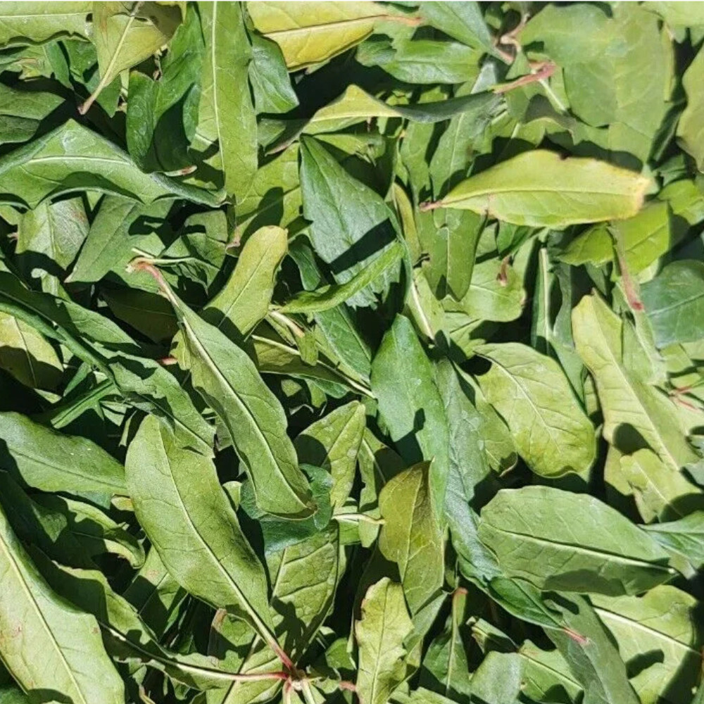 Dried Pomegranate Leaves 25g | Natural Fresh Ceylon Herbal Tea | 1, 2, 4 Pack