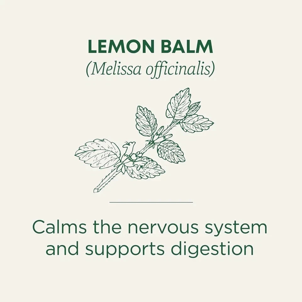 Traditional Medicinals Organic Lemon Balm Tea, 16 Tea Bags
