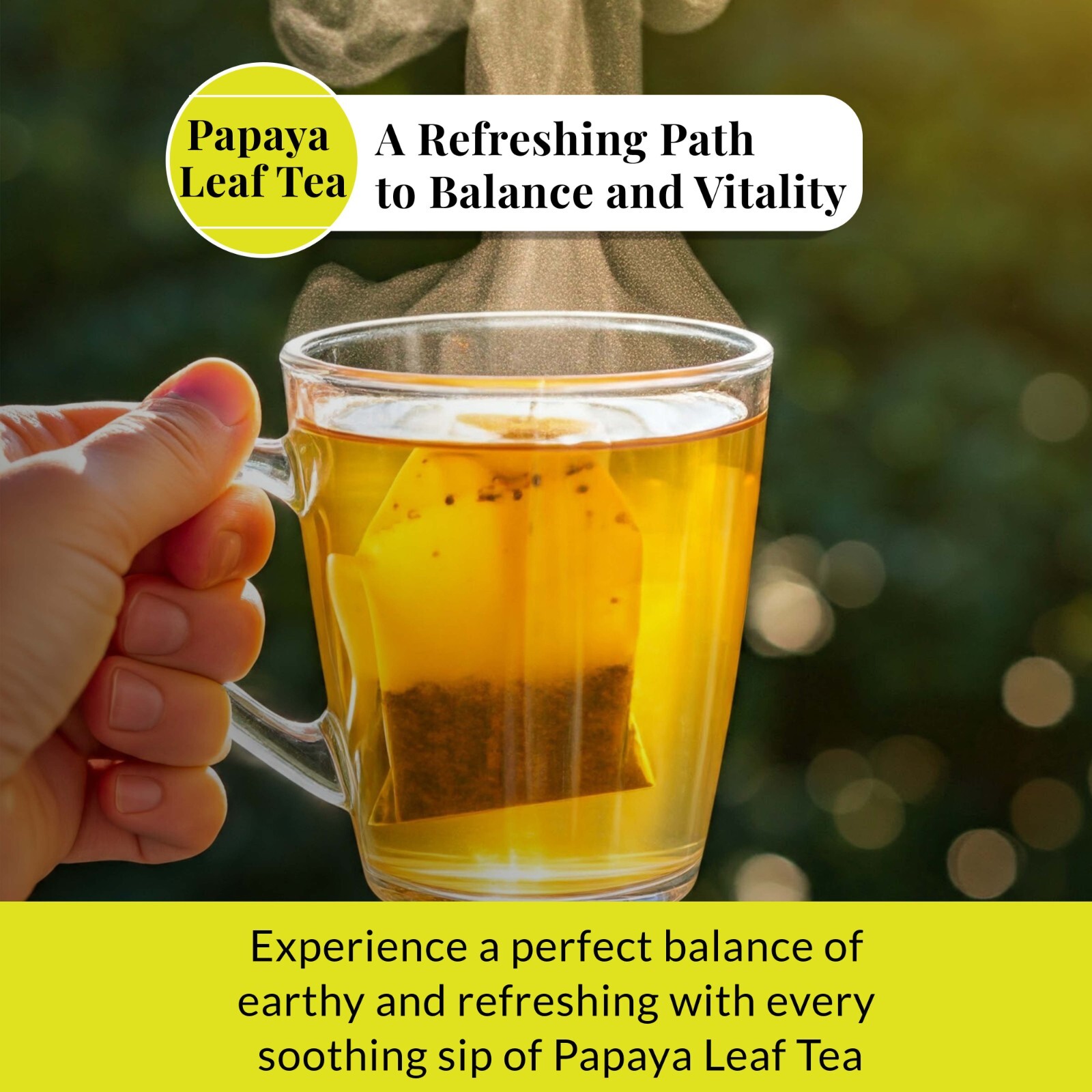 75 Papaya Tea Bags, Papaya Leaf Tea, Te De Hojas De Papaya, Herbal Tea