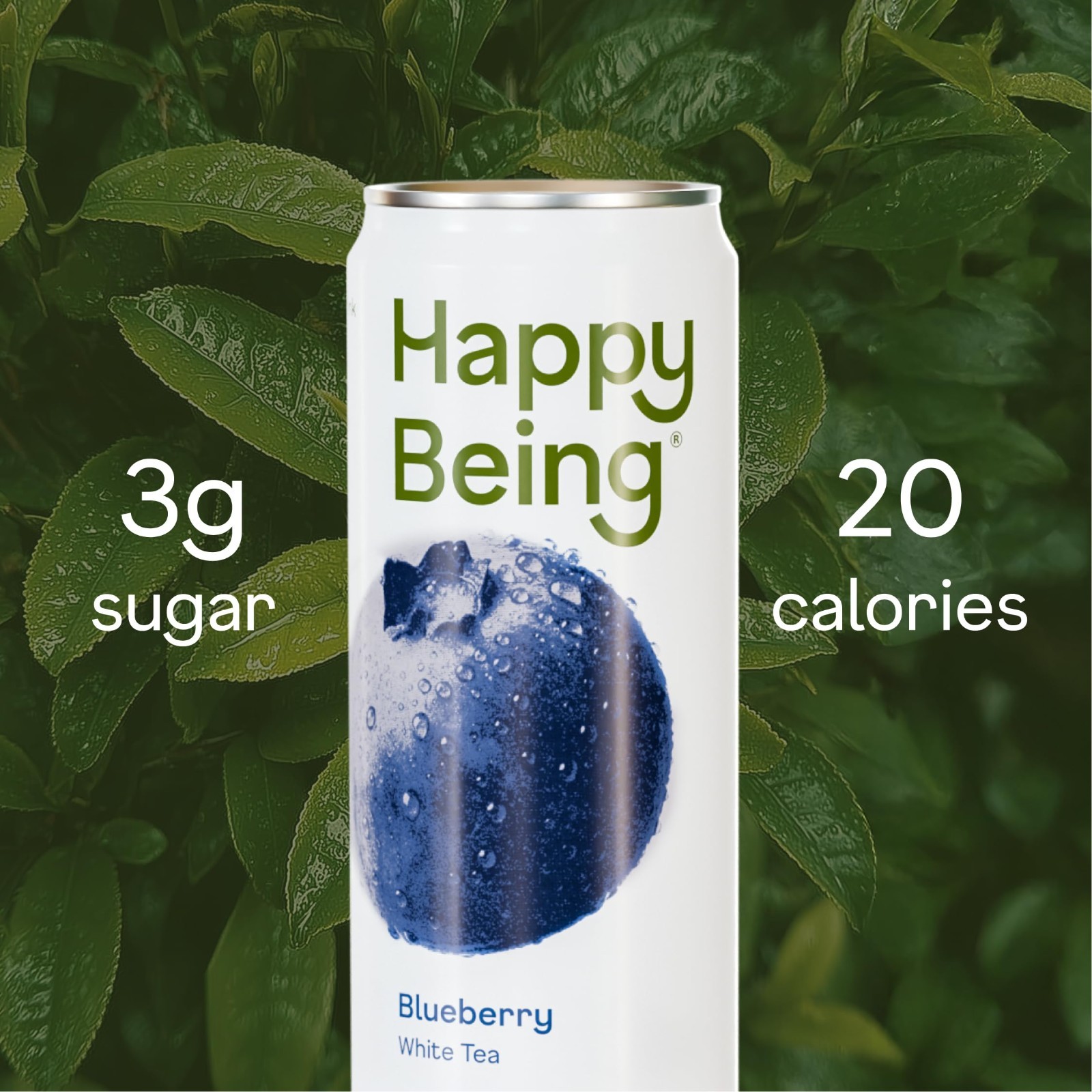 Antioxidant-Rich Blueberry White Tea, Low Sugar, 12oz – 16 Pack, Healthy Beverag