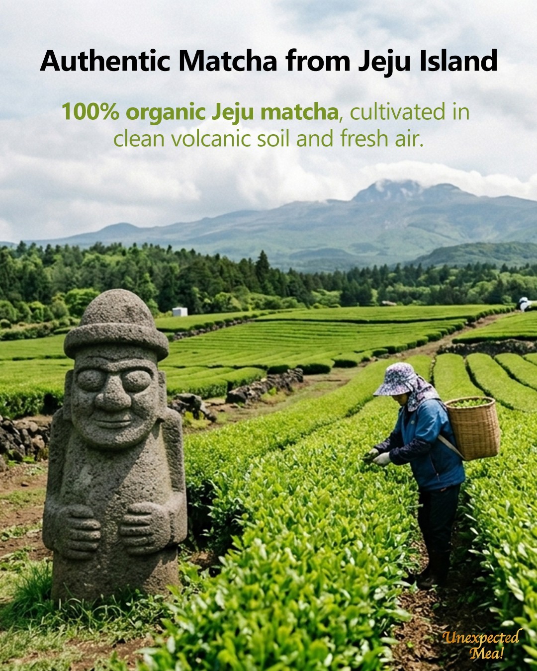 NEURANGPUL Korean Jeju Matcha Latte Powder Base 400g (14.1oz) Green Tea Latte