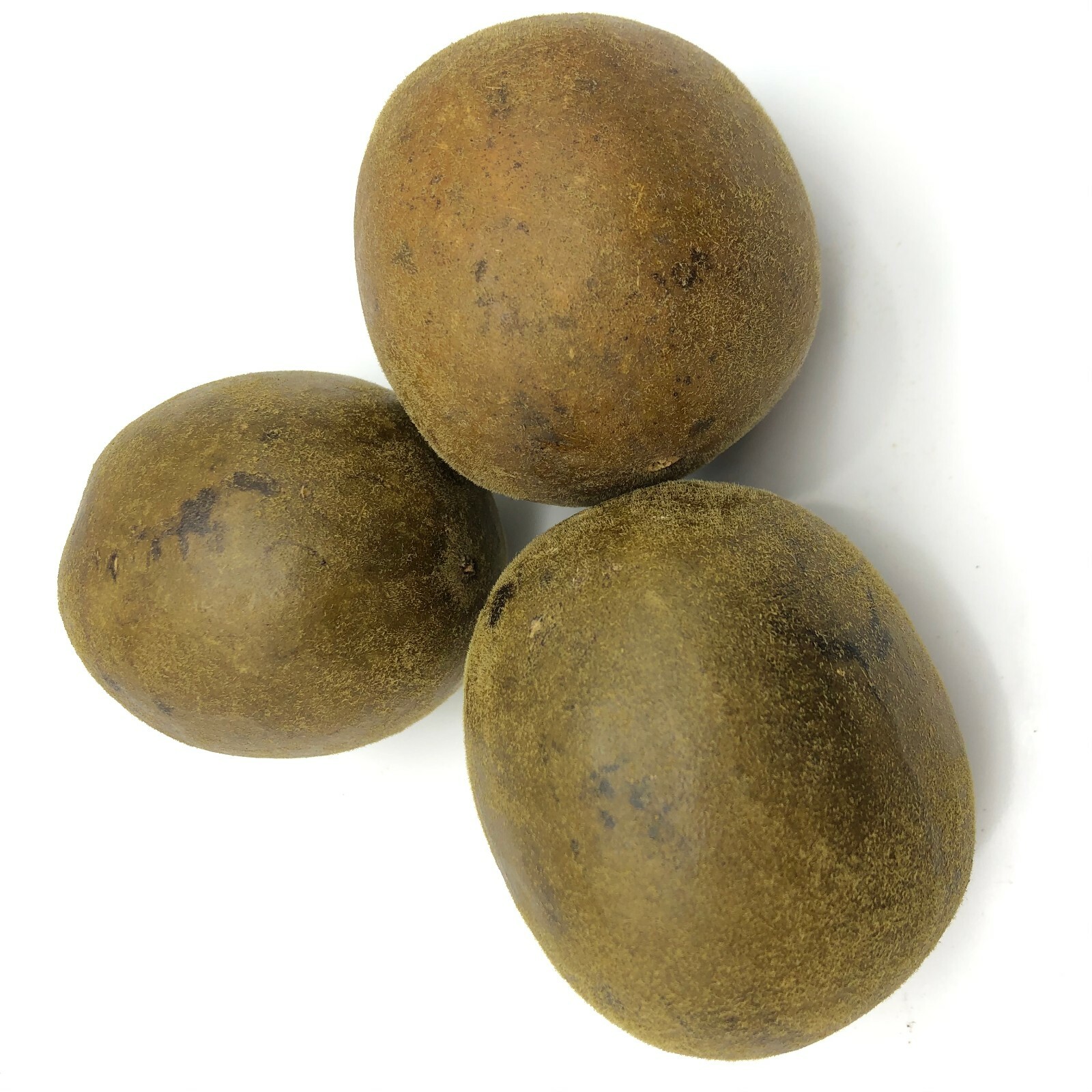 ALL NATURAL LUO HAN GUO MONK FRUIT 20PCS Size Medium 罗汉果 20个装
