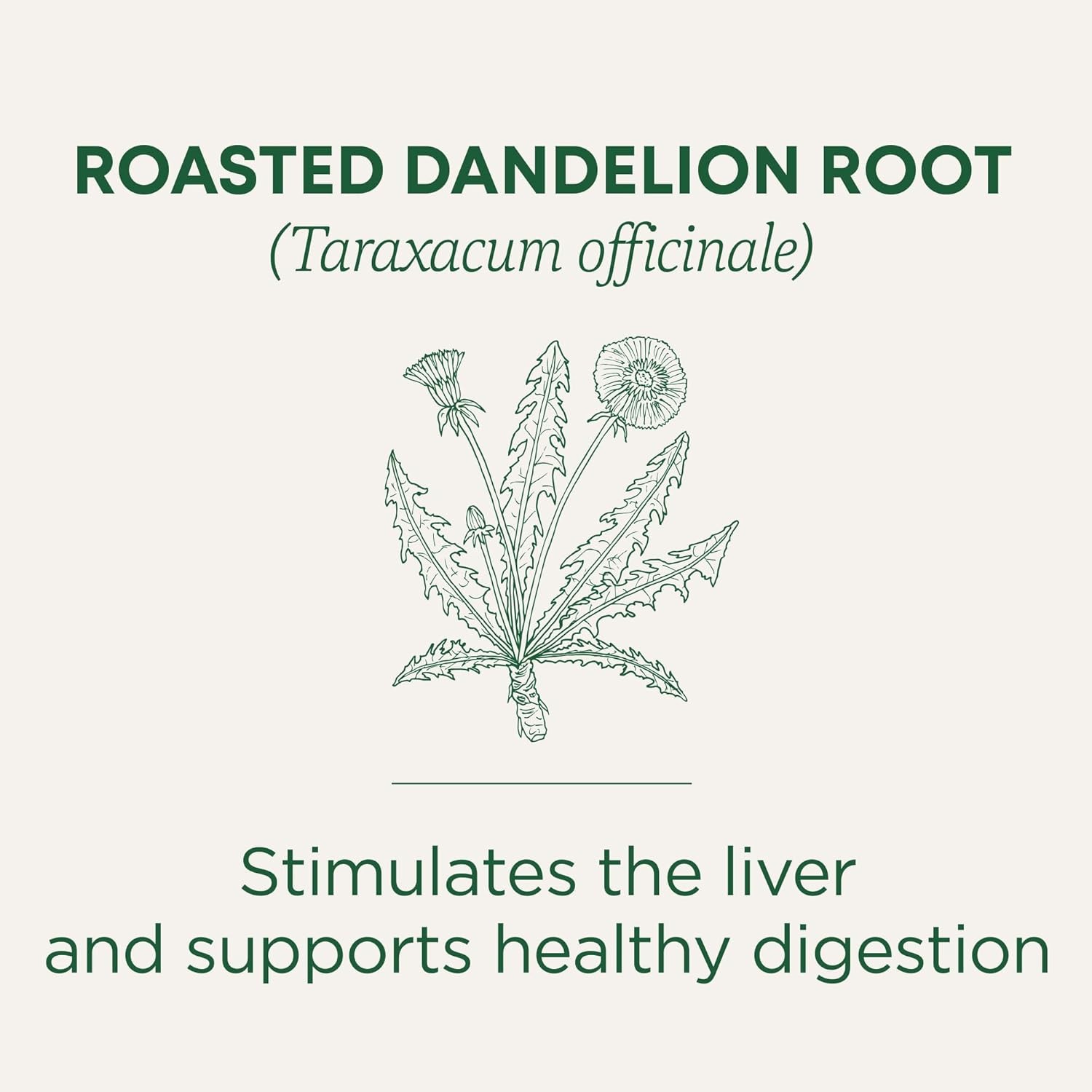 Traditional Medicinals Organic, Roasted, Dandelion Root Tea – Supports…