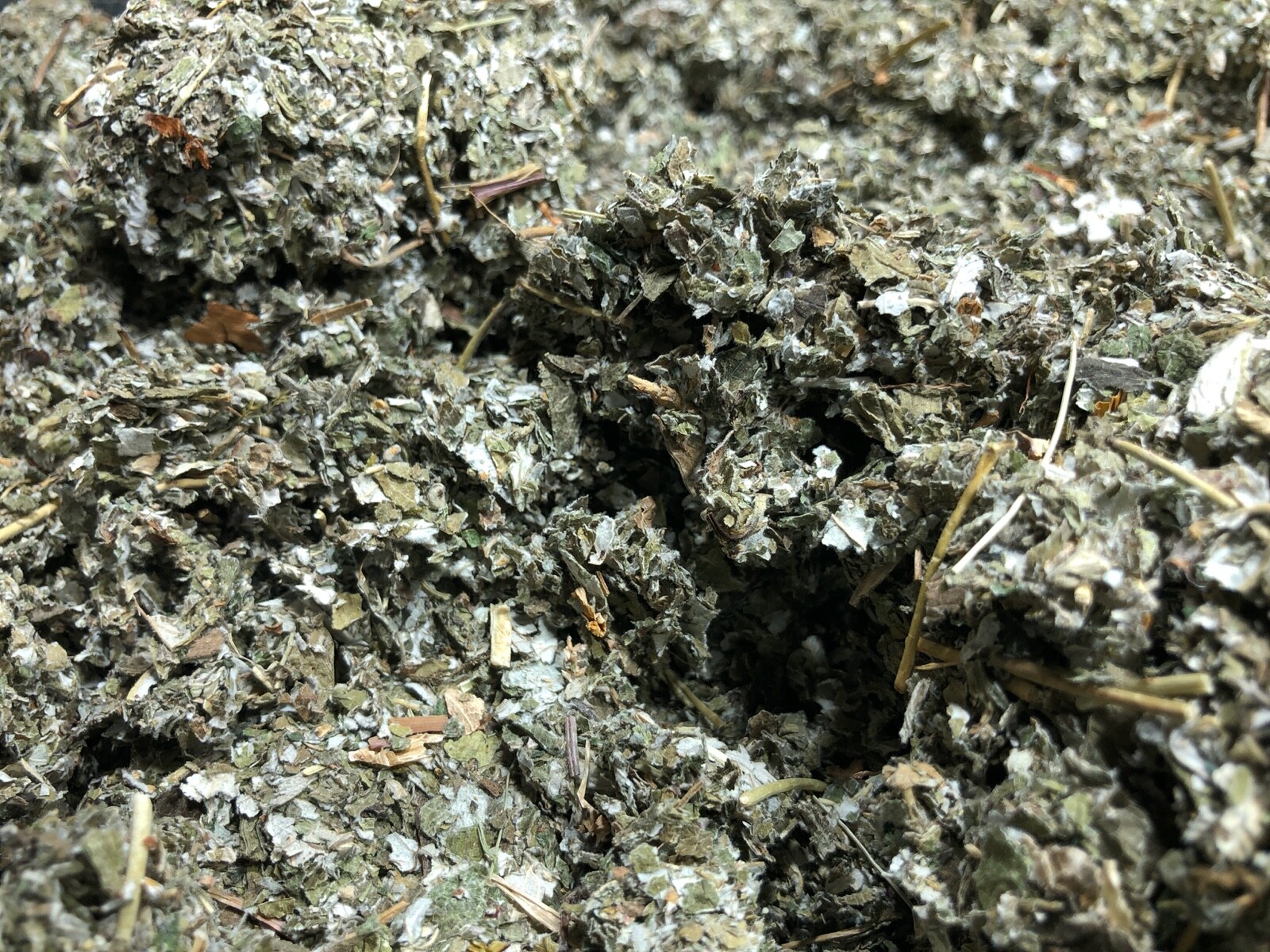 Organic Red Raspberry Leaf Wild Crafted Cut Bulk Herb Rubus Idaeus ounce pound