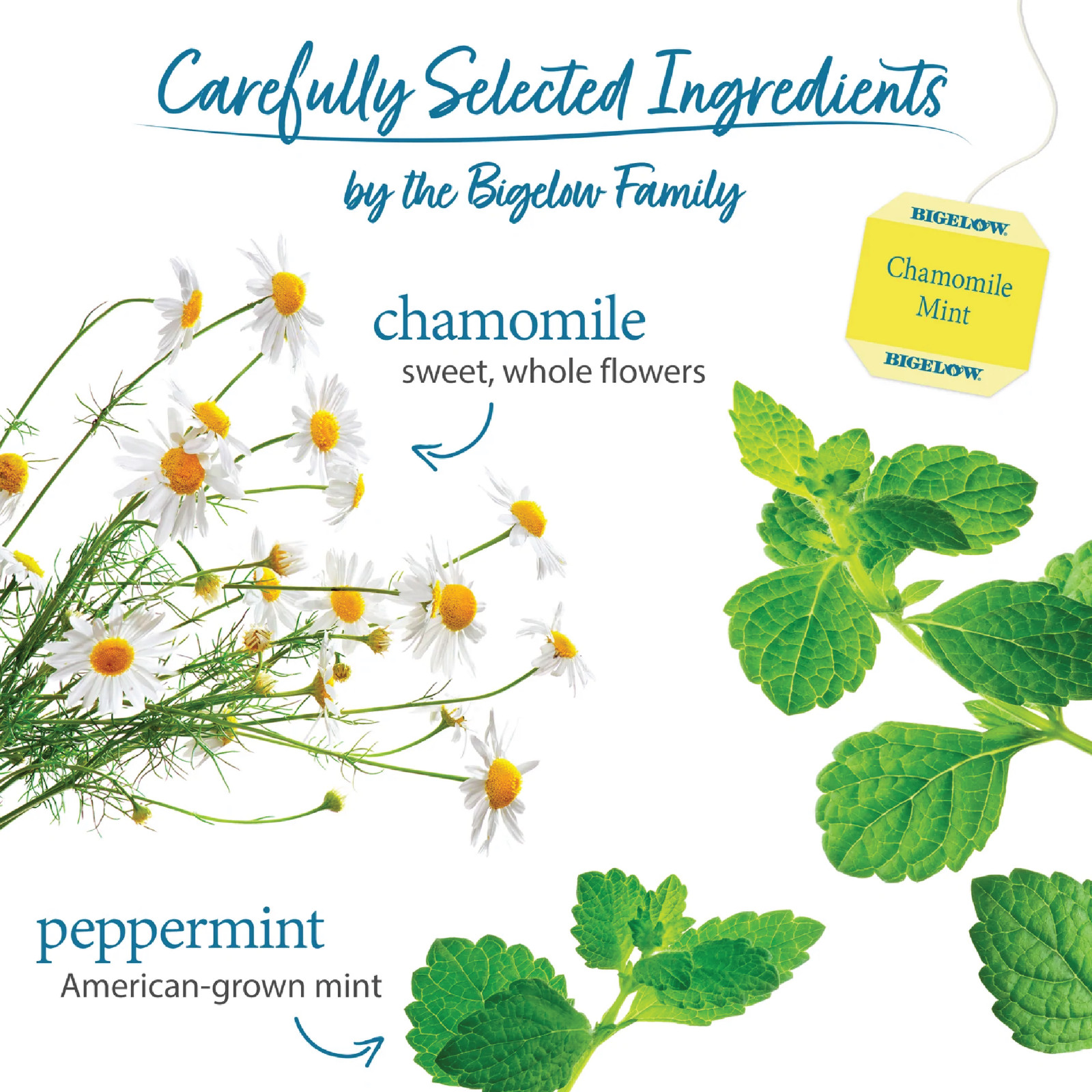 1x Box Bigelow Chamomile Mint Herbal Tea | 20 Pouches Per Box | 1.09oz