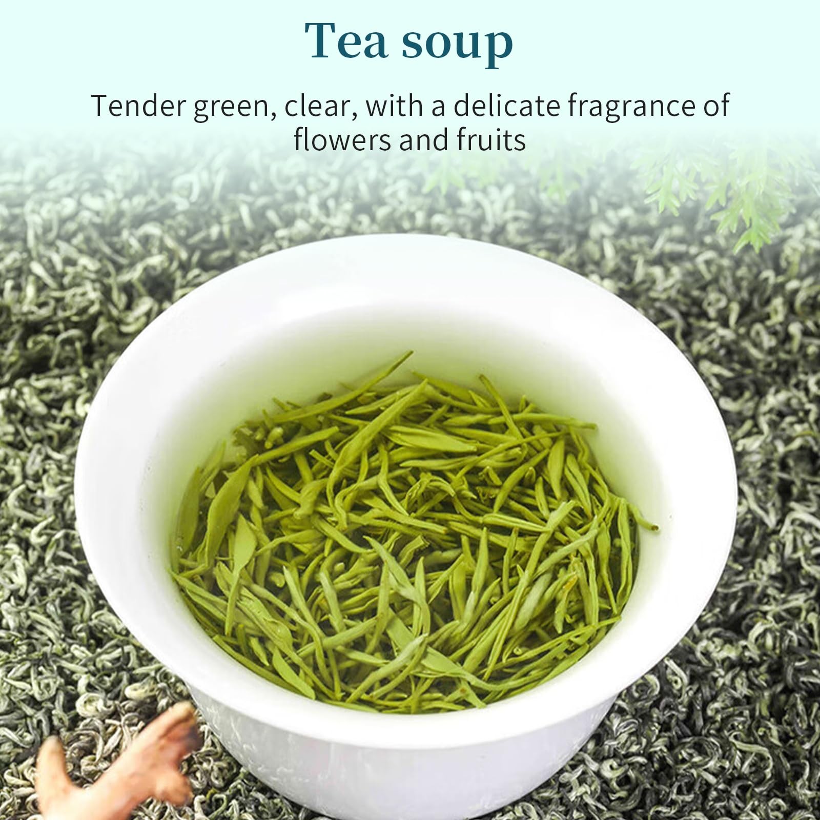 Biluochun Green Tea New Tea Grade AAA Dongting Bi Luo Chun Chinese Green Tea …