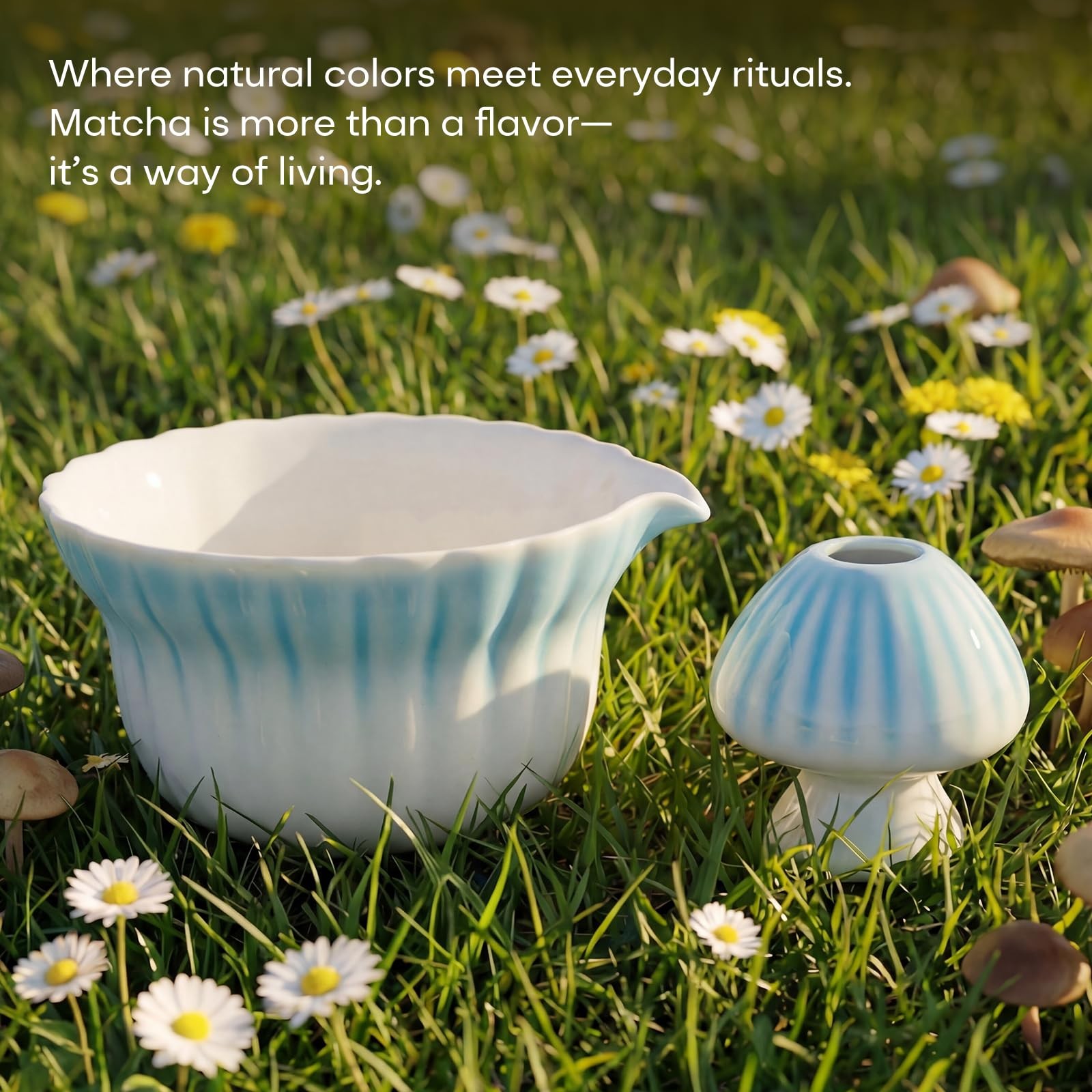 Matcha Set, 5Pcs Ceramic Matcha Set including Daisy Matcha Bowl and Mushroom …