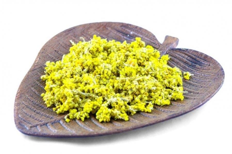 Helichrysum arenarium Tea – Wild Flower Herbal Tea from Albania – Natural Detox