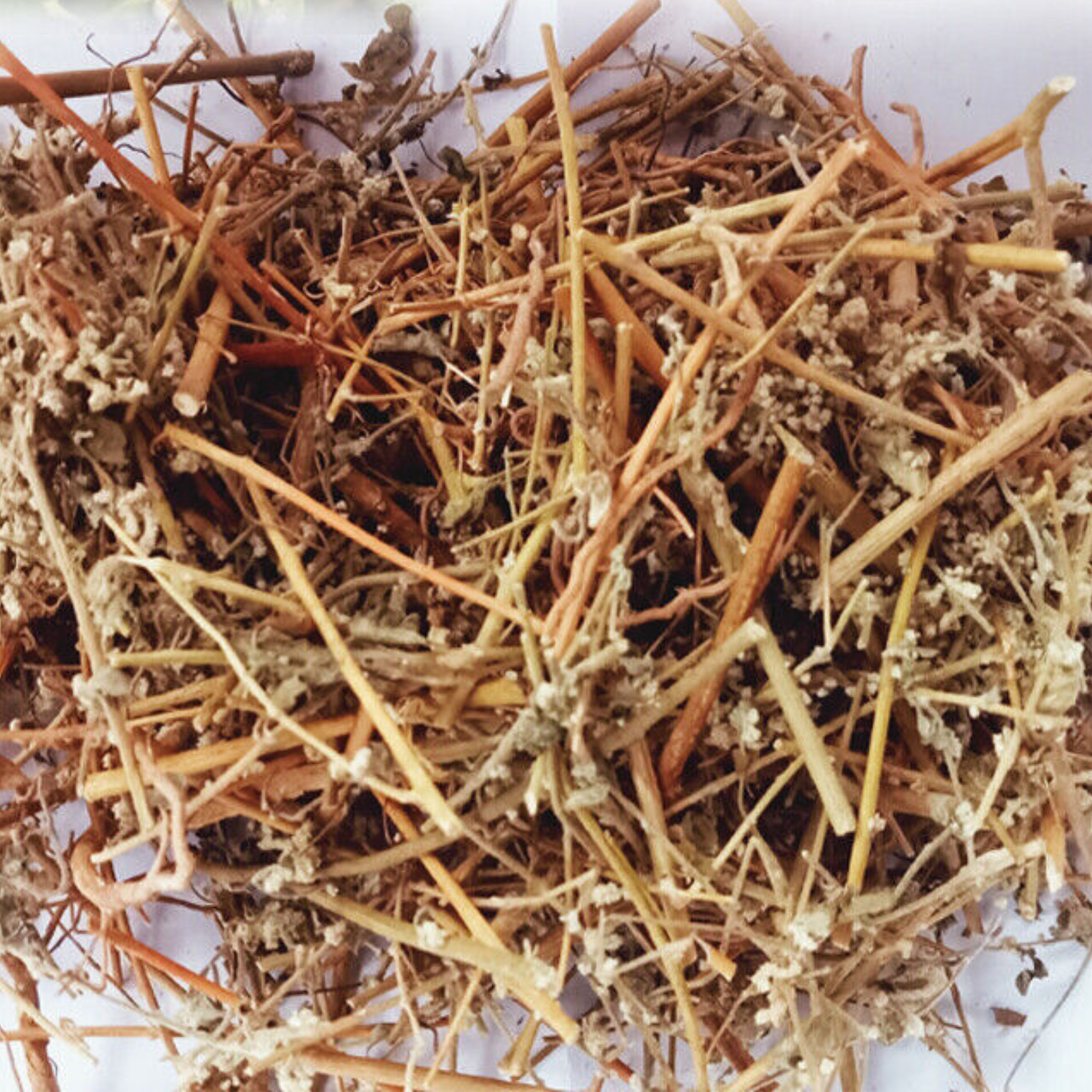Dried Aerva Lanata | Organic Herbal Wellness Tea | 100% Natural Ayurvedic Herb