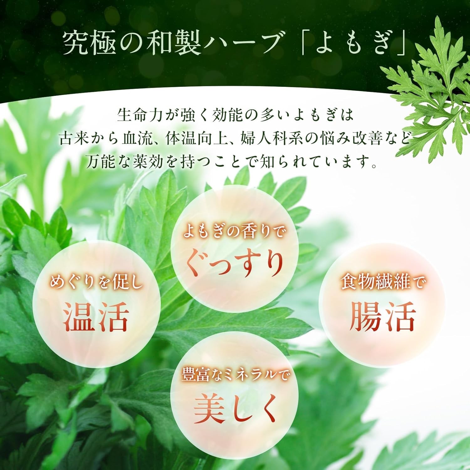 Japanese Yomogi Powder 70g Mugwort Herbal Caffeine-Free Matcha Alternative
