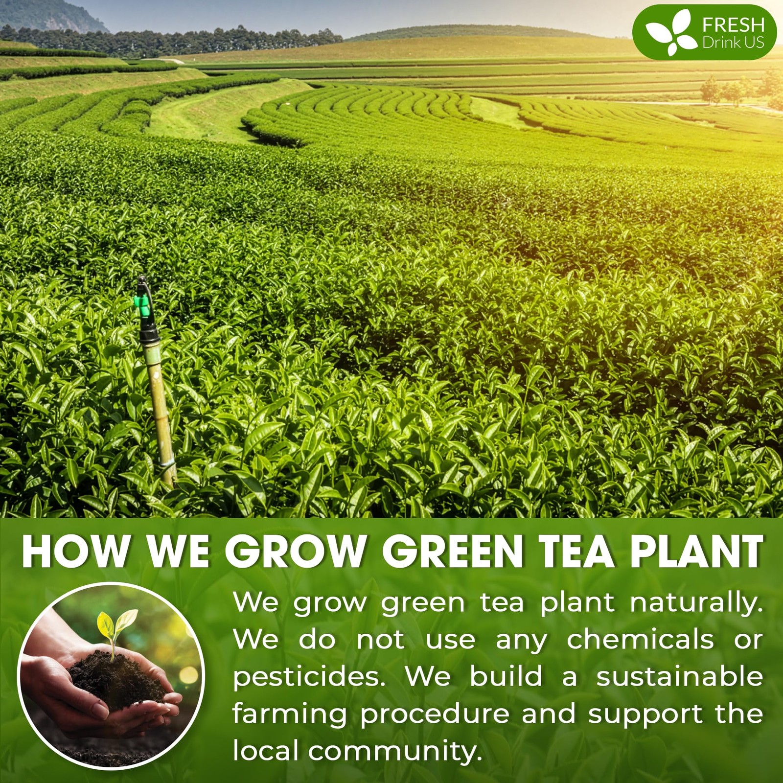 , Organic 1.5 oz Luxury Ceremonial Grade Matcha | USDA – Premium Japanese Gre…