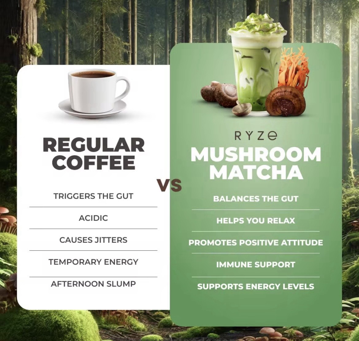 RŸZE Mushroom Matcha Green Tea with 6 Adaptogenic Mushrooms Exp 5/27-1/28