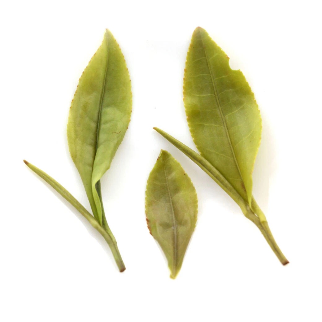 1000g Premium Huangshan Maofeng GREEN TEA Chinese Yellow Mountain Mao Feng