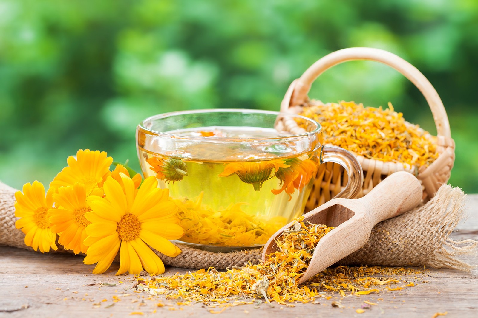 Calendula Tea 1LB (16Oz) 100% CERTIFIED Organic Whole Flower Herbal Tea (Cale…