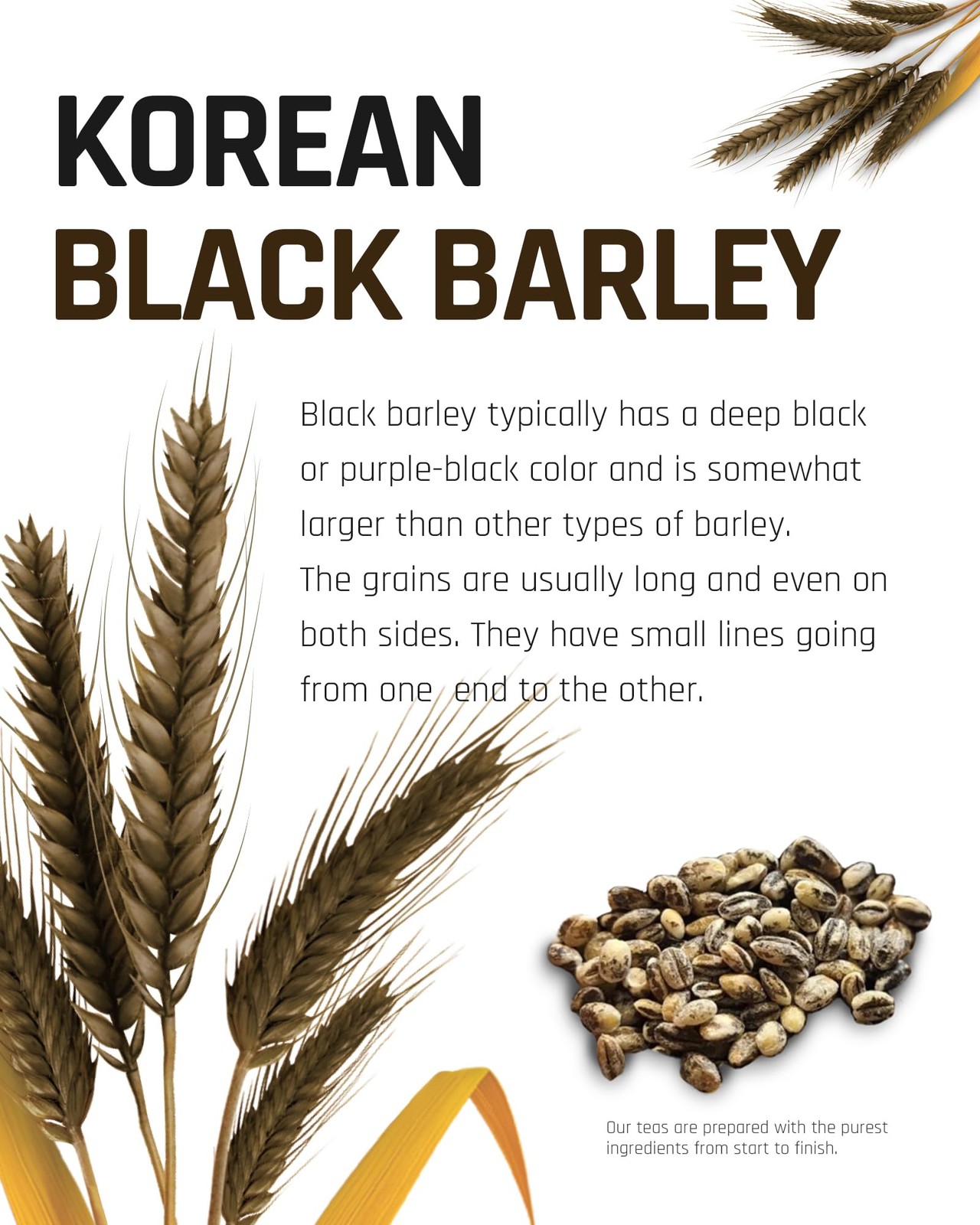 Black Barley Tea 1.2g x 40 Bags – Premium Korean Herbal Tea, Hot Cold Drink