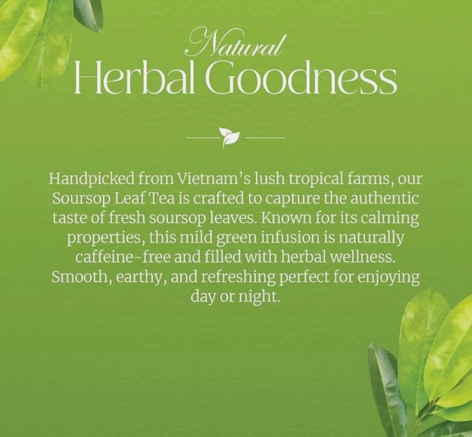 100 PACK Soursop Leaves Tea Bags Herbal Guanabana Graviola Annona Muricata, NEW!