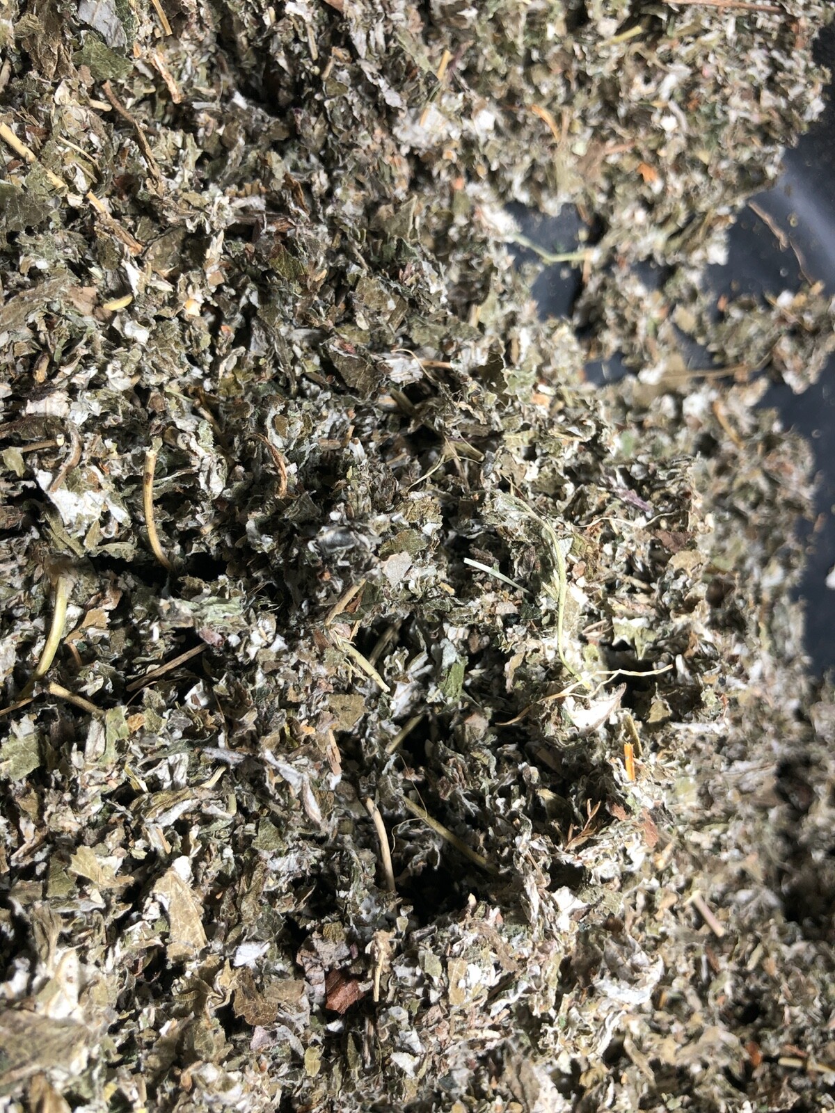 Organic Red Raspberry Leaf Wild Crafted Cut Bulk Herb Rubus Idaeus ounce pound