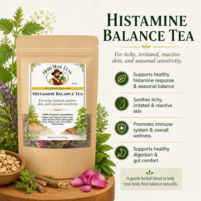Organic HISTAMINE BALANCE TEA #436 | Skin & Seasonal Support | Herbalist Crafted