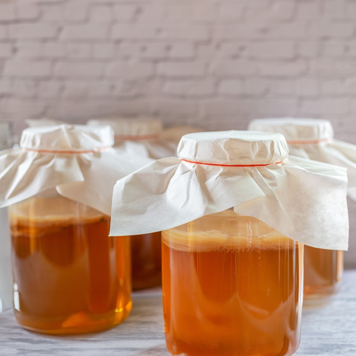 Scoby Kombucha FBA_LEPAZC5747 1 X Organic Kombucha Scoby-Live Culture