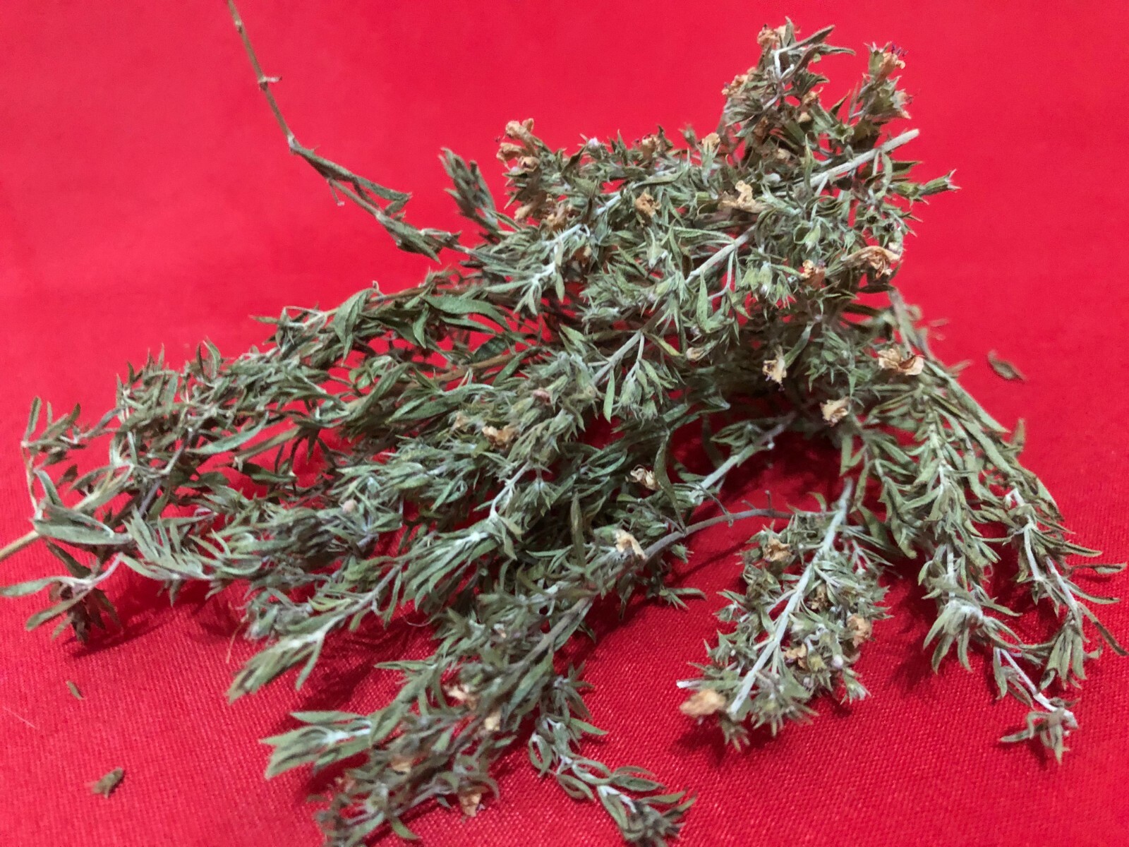 WILD ORGANIC WINTER SAVORY DRIED SPICE HERB LOOSE LEAFS SATUREJA MONTANA 1 CLASS