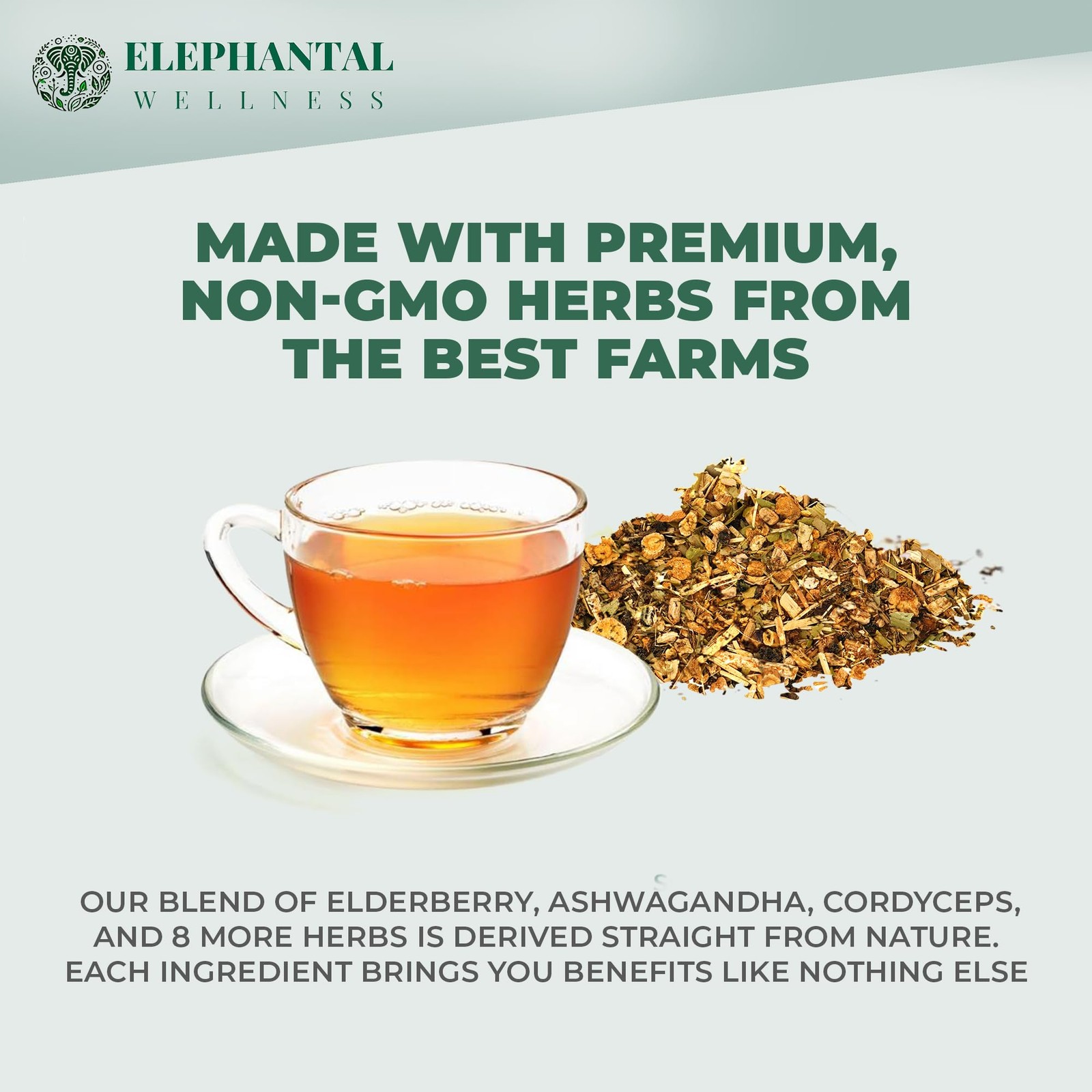 Elephantal Wellness Premium Immuni-Tea | Immune System Respiratory Support w…