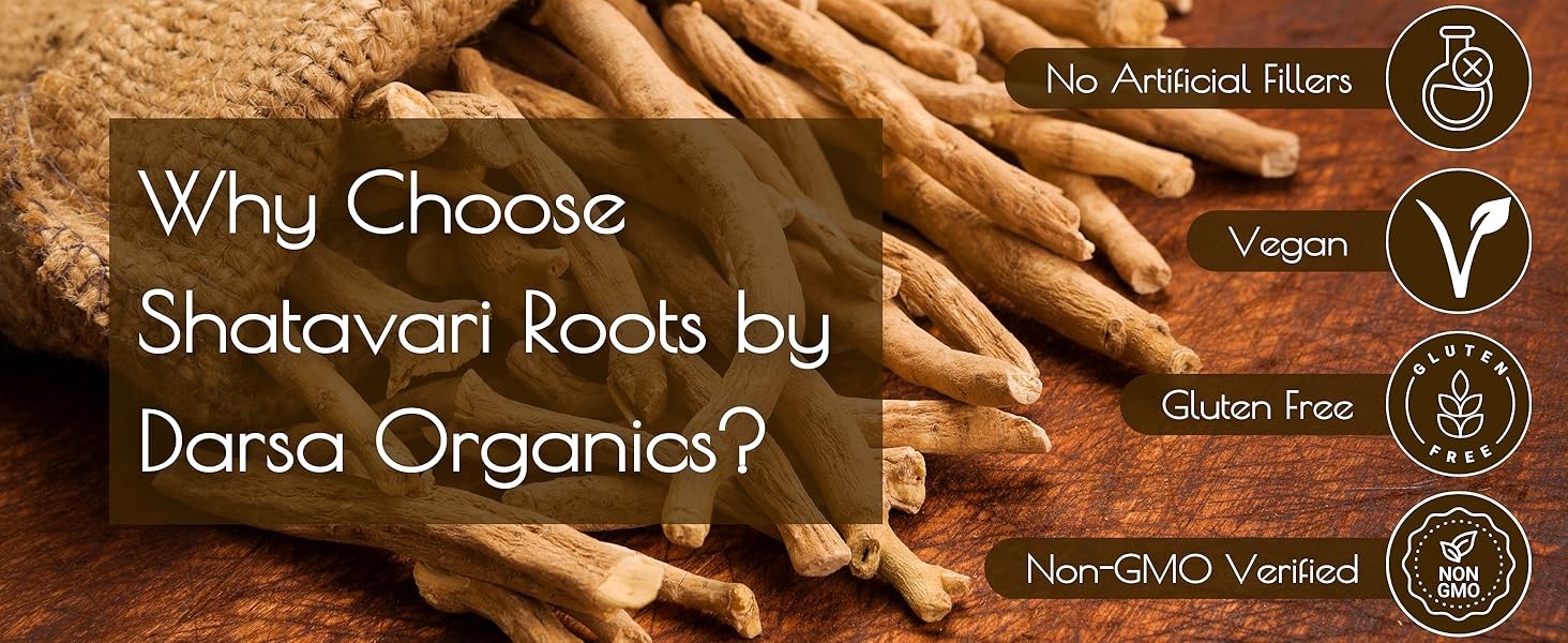 Shatavari Root 4 oz – Premium Cut and Sifted Organic Shatavari from India,