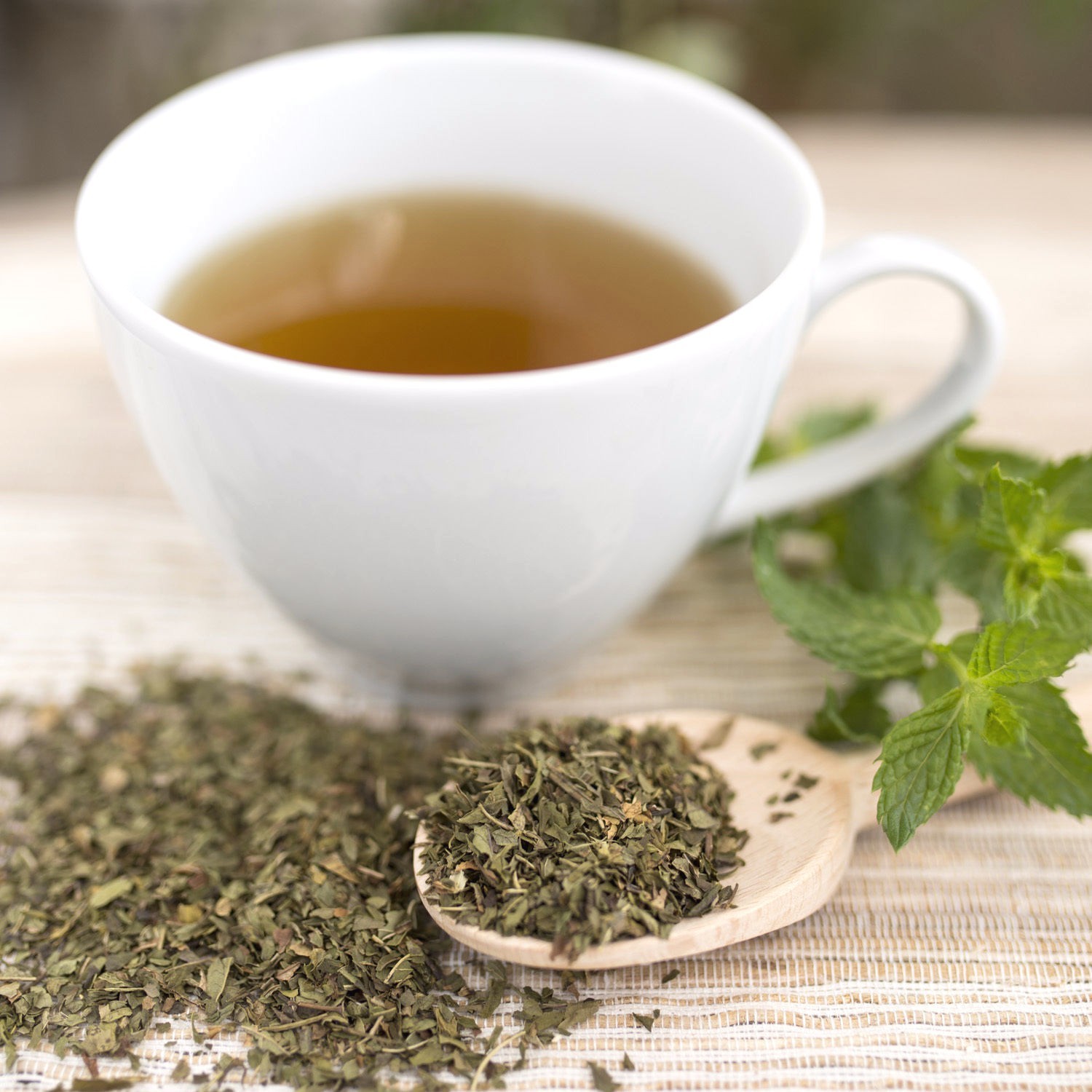 Spearmint herb loose leaf or tea bags Mentha spicata Organic