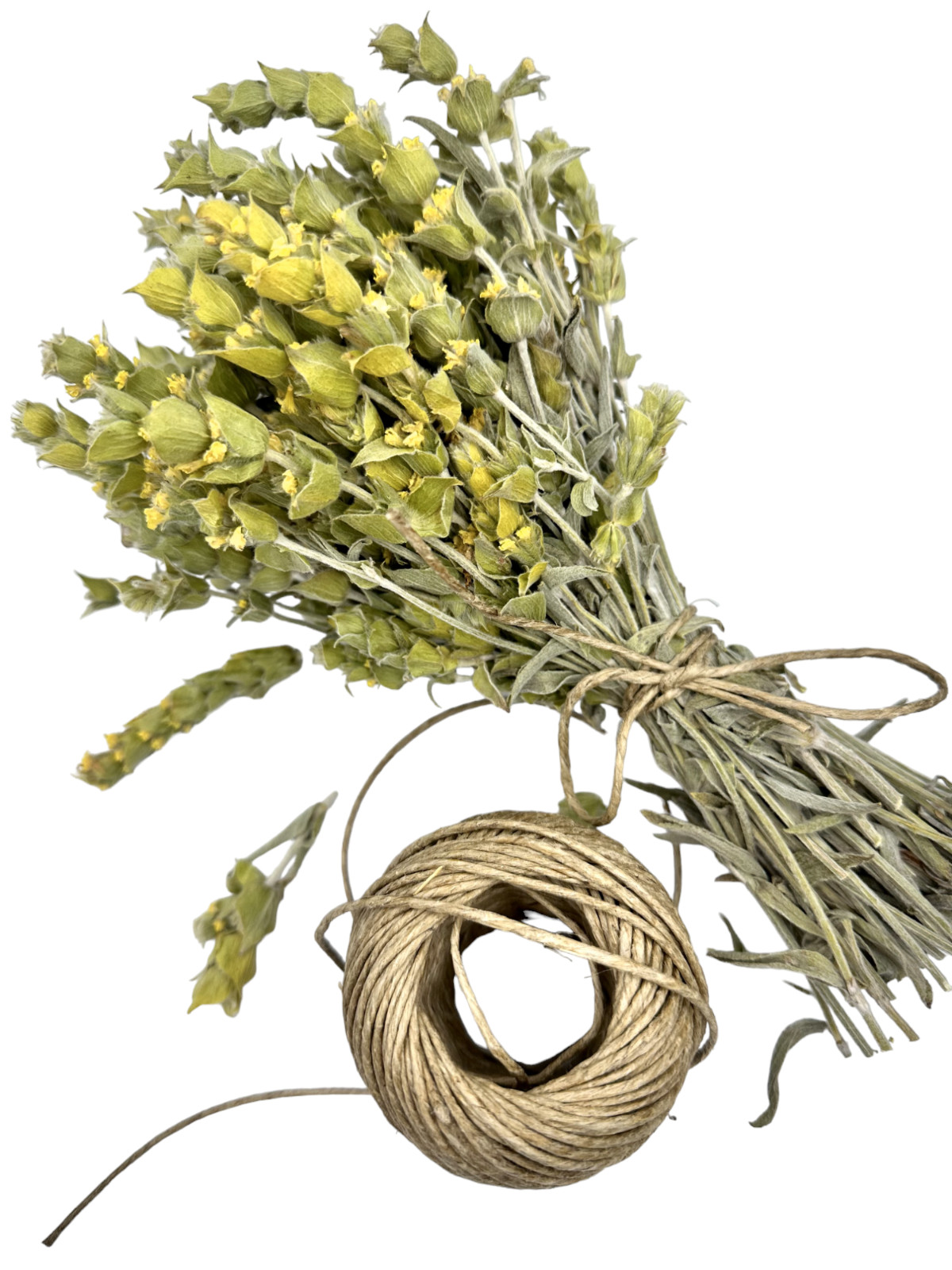 Organic Greek Mountain Tea Whole Loose Herbal Tea 20g-4.9kg Sideritis Raeseri