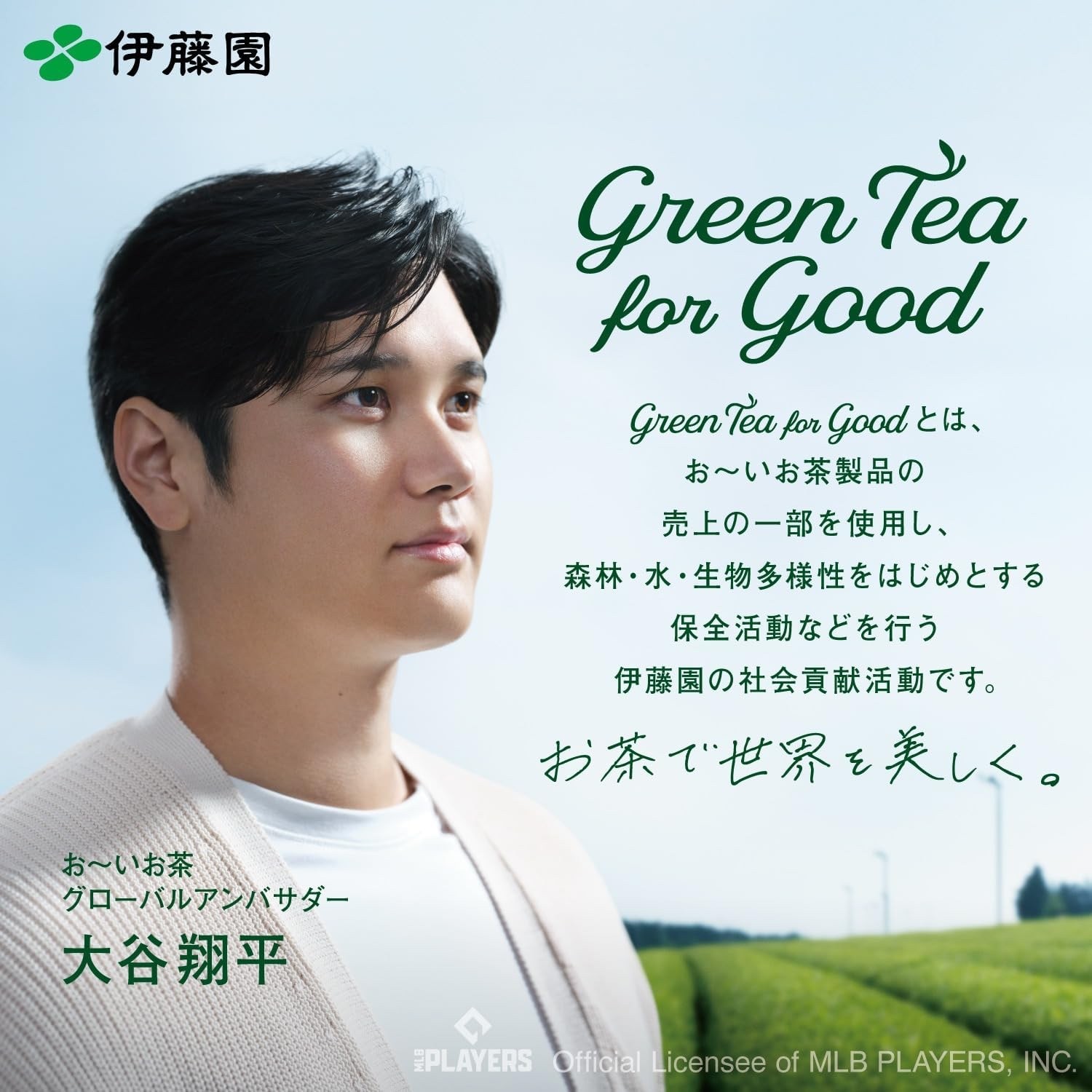 Ito En Oi Ocha Matcha Green Tea Powder 40g x5 Instant Tea Japan