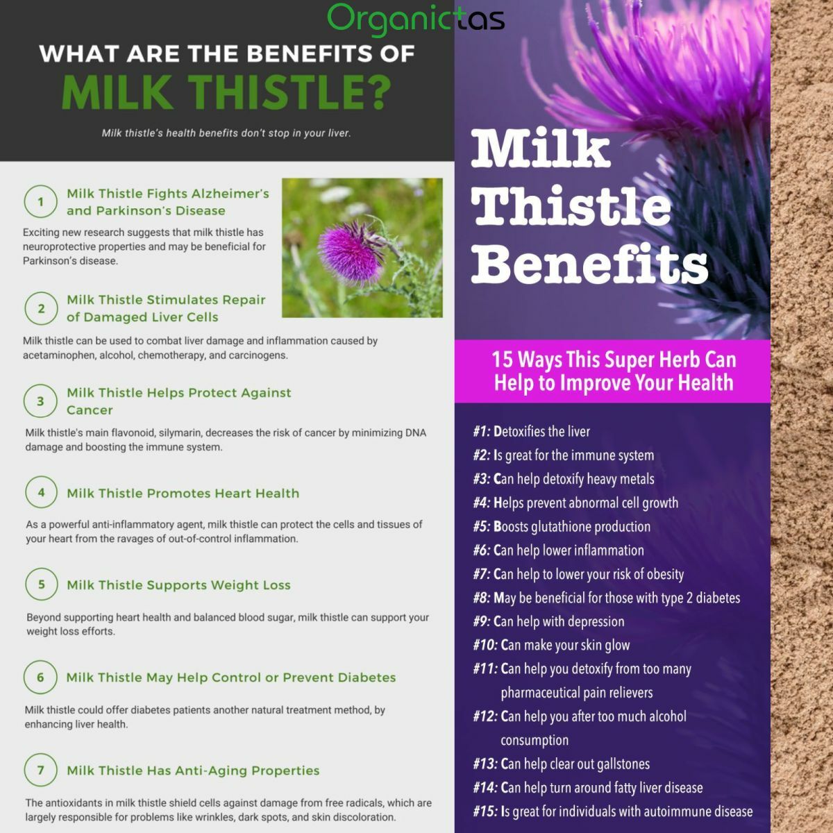 Milk Thistle Seed Powder for Tea Making or Culinary Use Organic Premium Quality