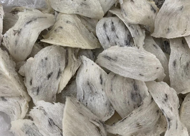 100% genuine bird’s nest, 10 grams (2 nests). Natural bird’s nest, few feathers,