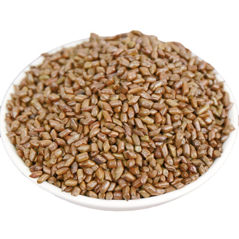 Cassia Seeds Tea Natural Healthy Premium Cooked 500g